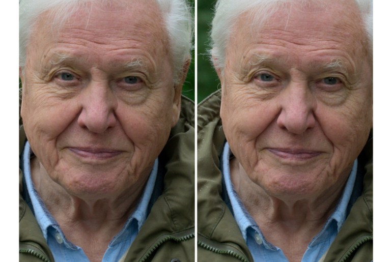where-is-david-attenborough-now-today